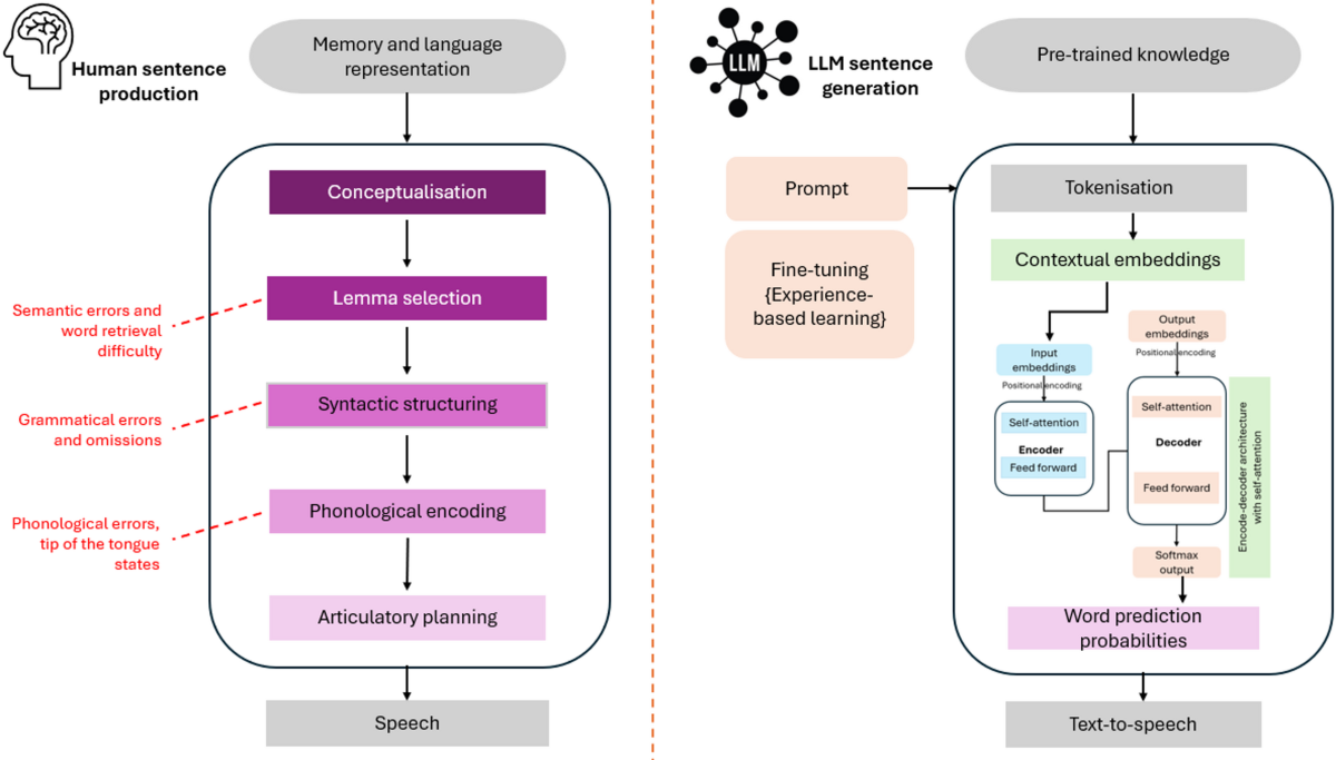 Reconstructing impaired language using generative AI for people with  aphasia | Scientific Reports