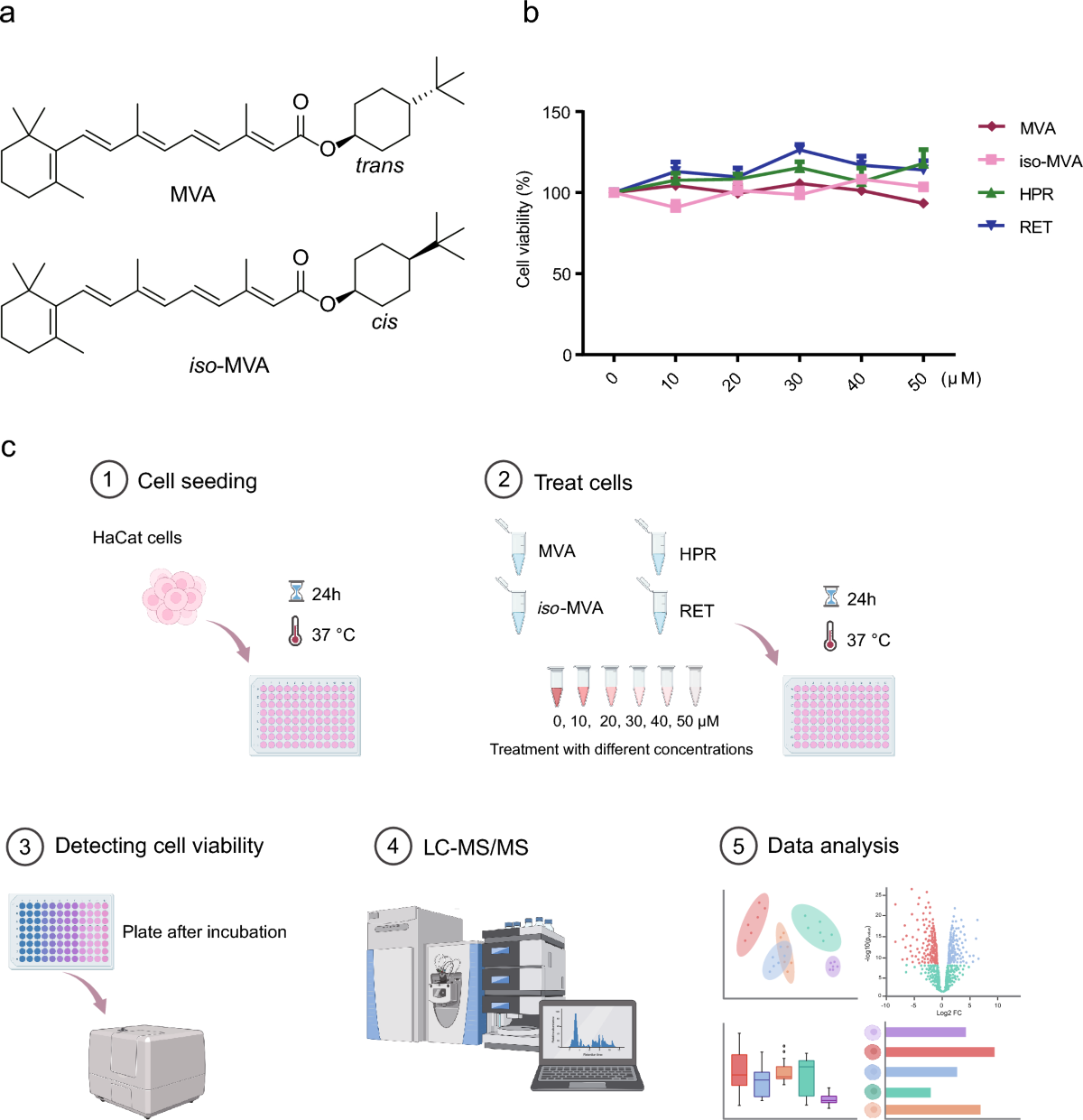 The anti-aging potential of VA'S new derivatives through metabolomic profiling