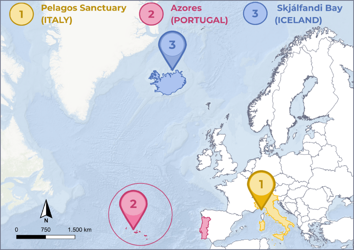 Willingness to engage in marine conservation through eDNA-informed citizen  science on whale-watching platforms | Scientific Reports
