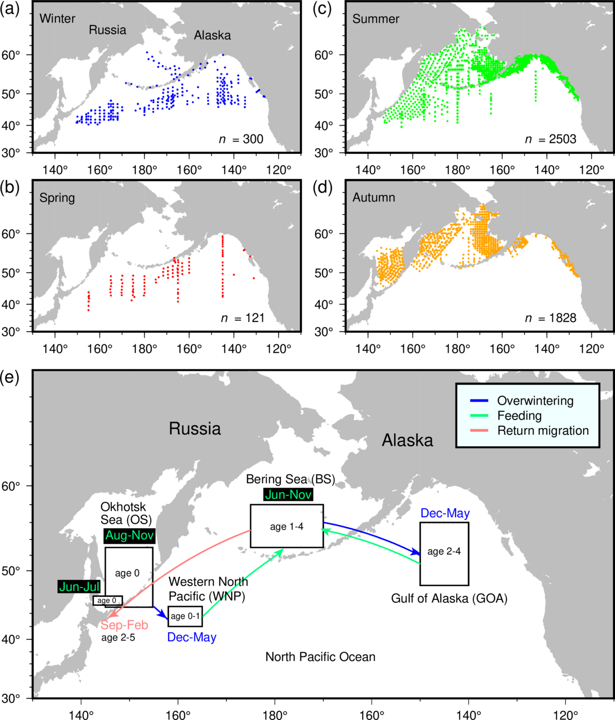 Climate-driven shifts in marine habitat explain recent declines of Japanese  Chum salmon | Scientific Reports
