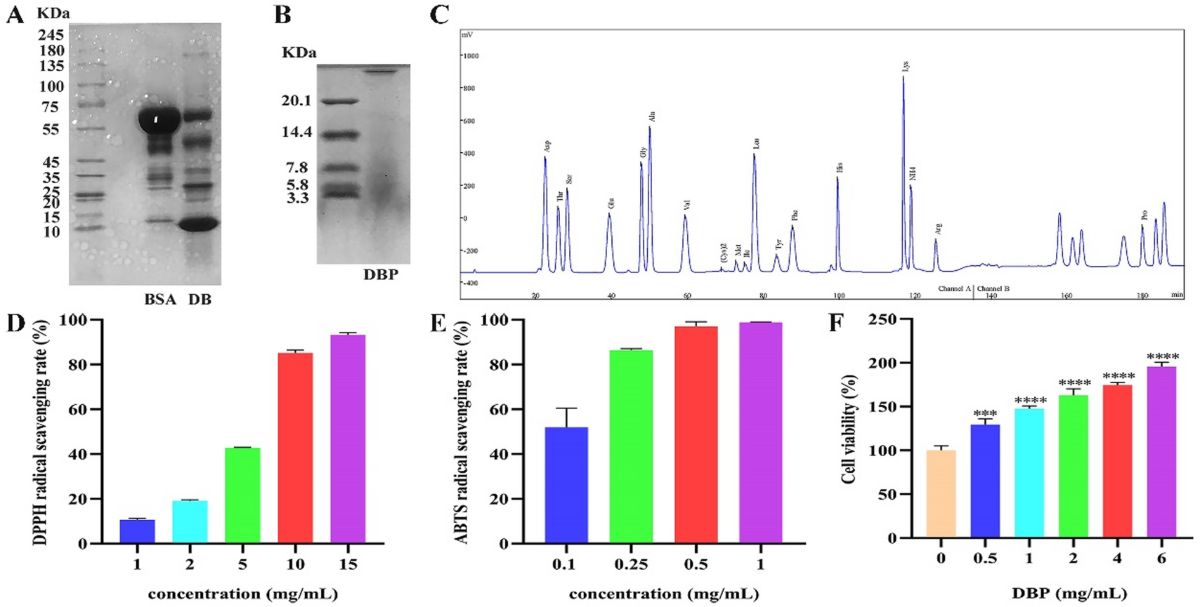 A novel liposomal hydrogel loaded with deer blood peptides prevents  UVB-induced skin photoaging | Scientific Reports