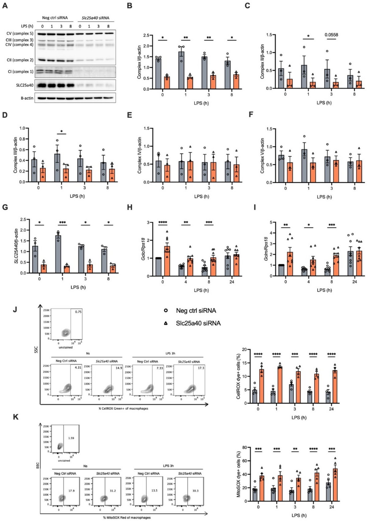 liposomal glutathione for psoriasis A double-edged sword: ROS related therapies in the treatment of psoriasis