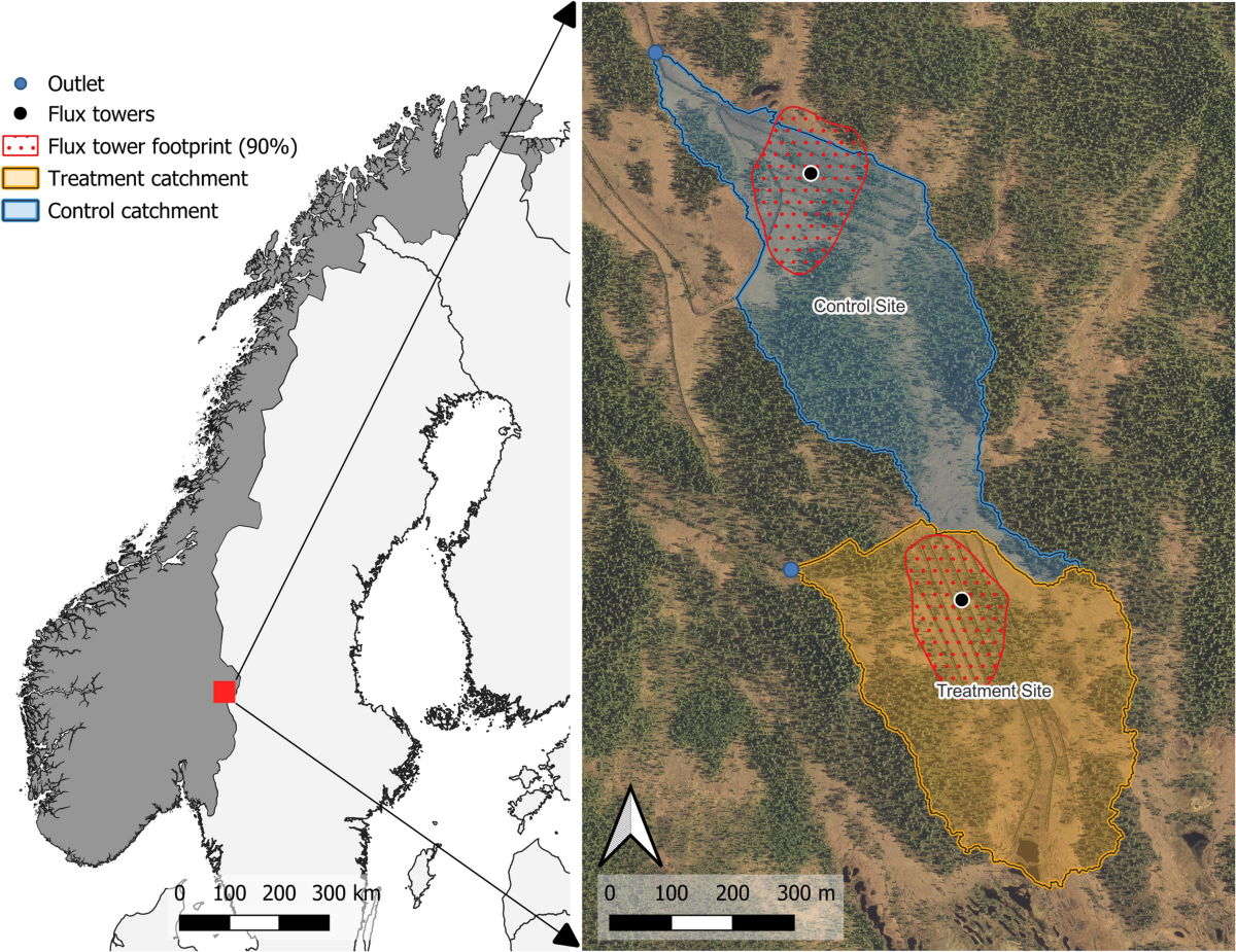 Carbon dynamics of a controlled peatland rewetting experiment in the  Norwegian boreal zone | Scientific Reports