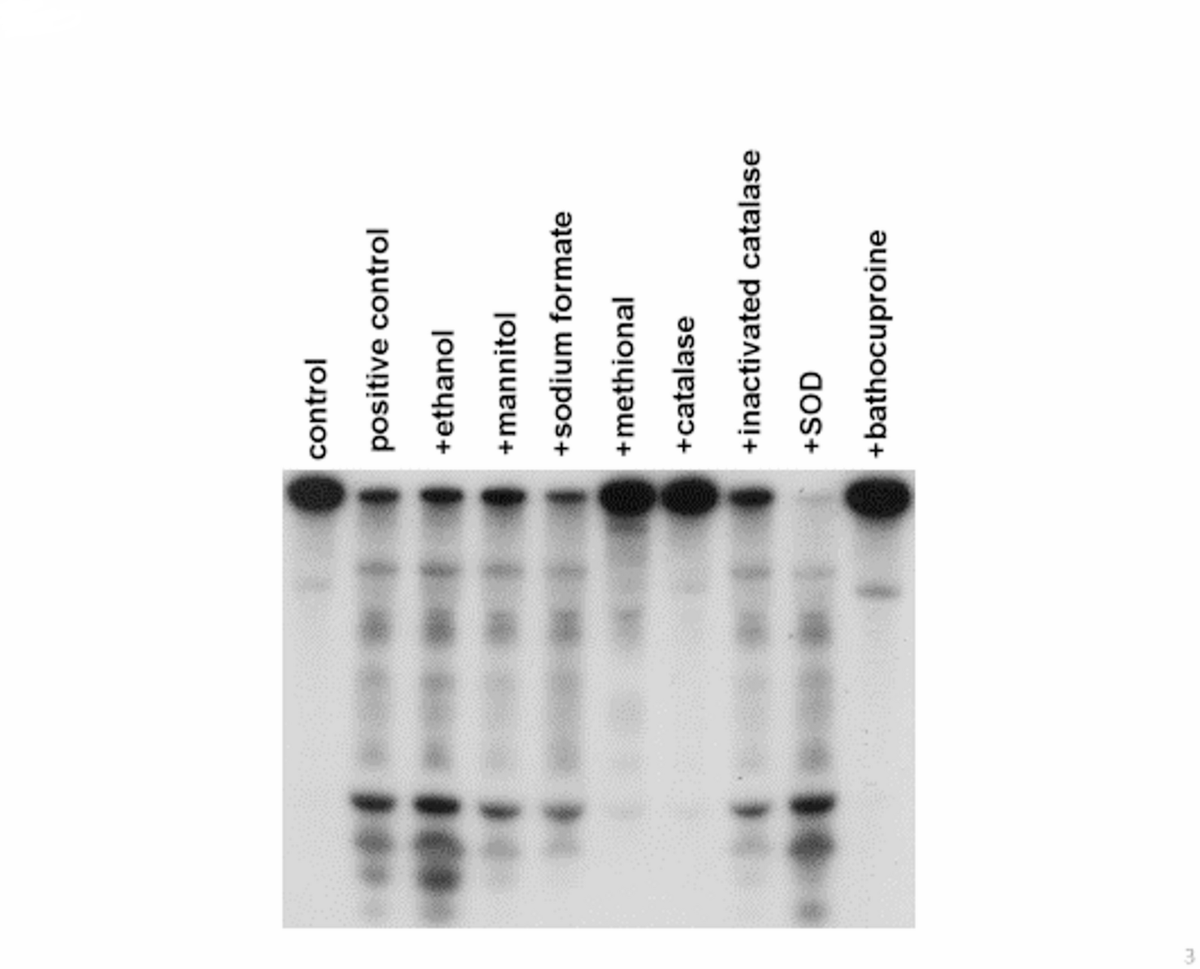 mod grf and ipamorelin dosage Mod GRF 1 29 Summary: Benefits, Usage, And Effects