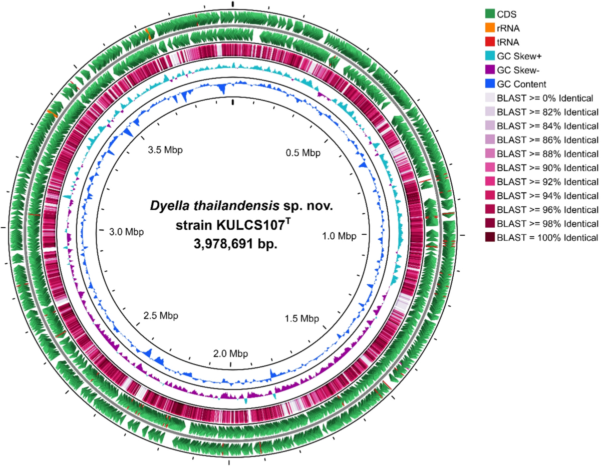 Genomic insights into a novel species, Dyella thailandensis sp. nov., a  cellulolytic and xylanolytic bacterium isolated from soil associated with  leaf compost | Scientific Reports