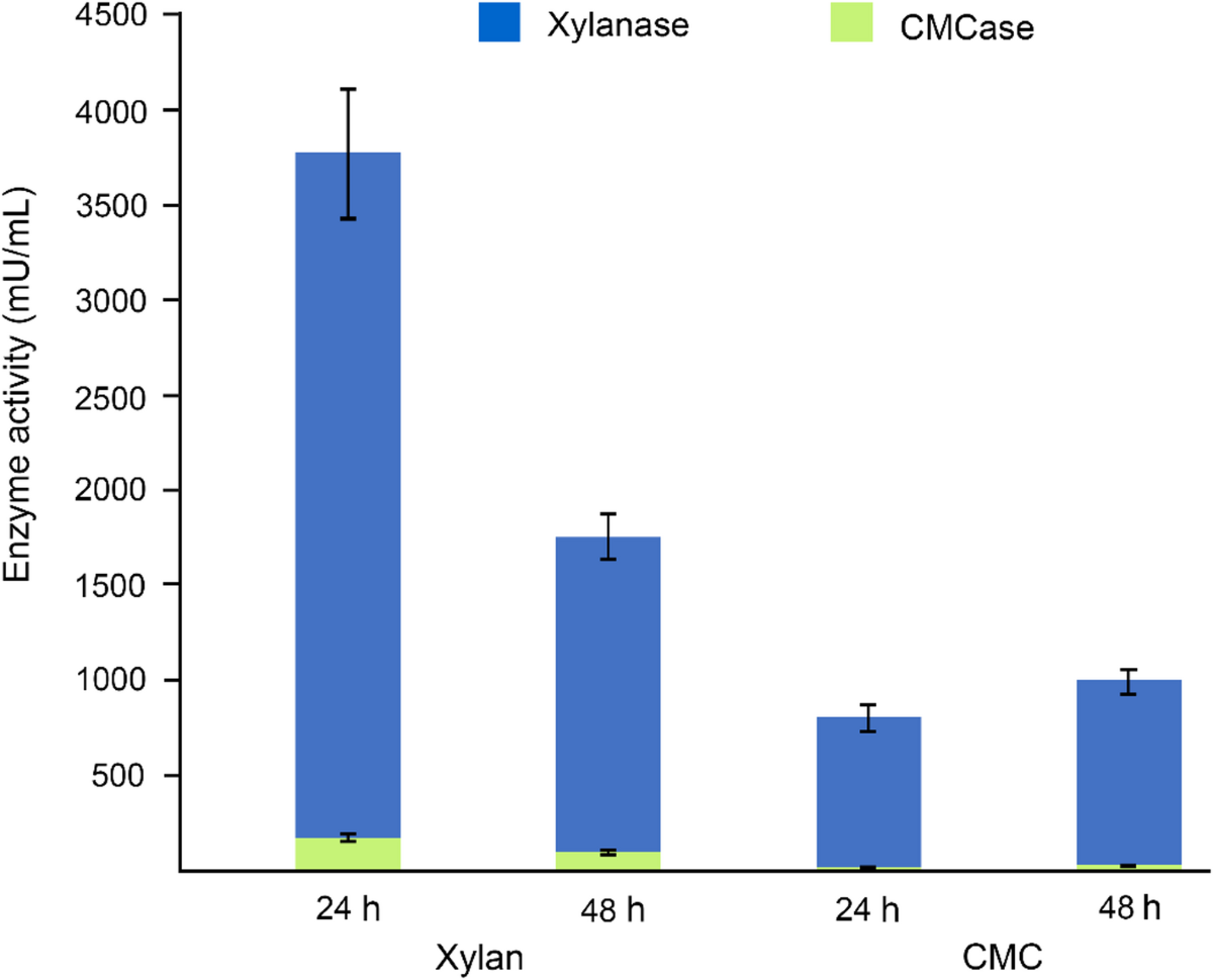 Genomic insights into a novel species, Dyella thailandensis sp. nov., a  cellulolytic and xylanolytic bacterium isolated from soil associated with  leaf compost | Scientific Reports