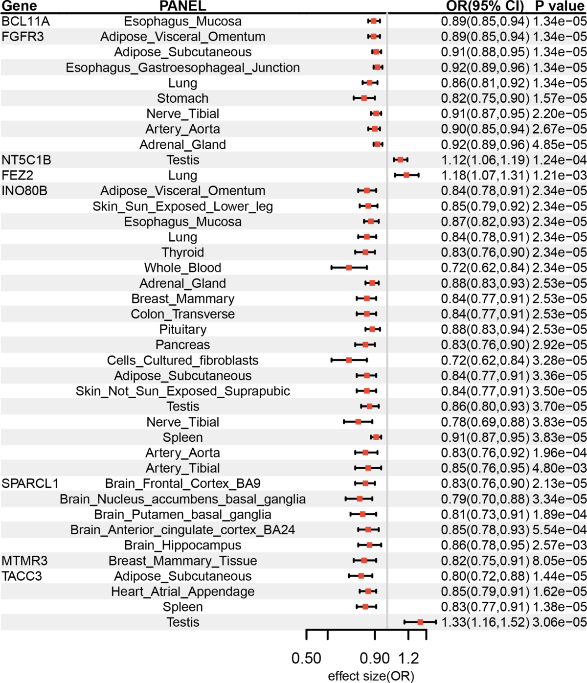 A cross-tissue transcriptome-wide association study identifies new  susceptibility genes for benign prostatic hyperplasia | Scientific Reports