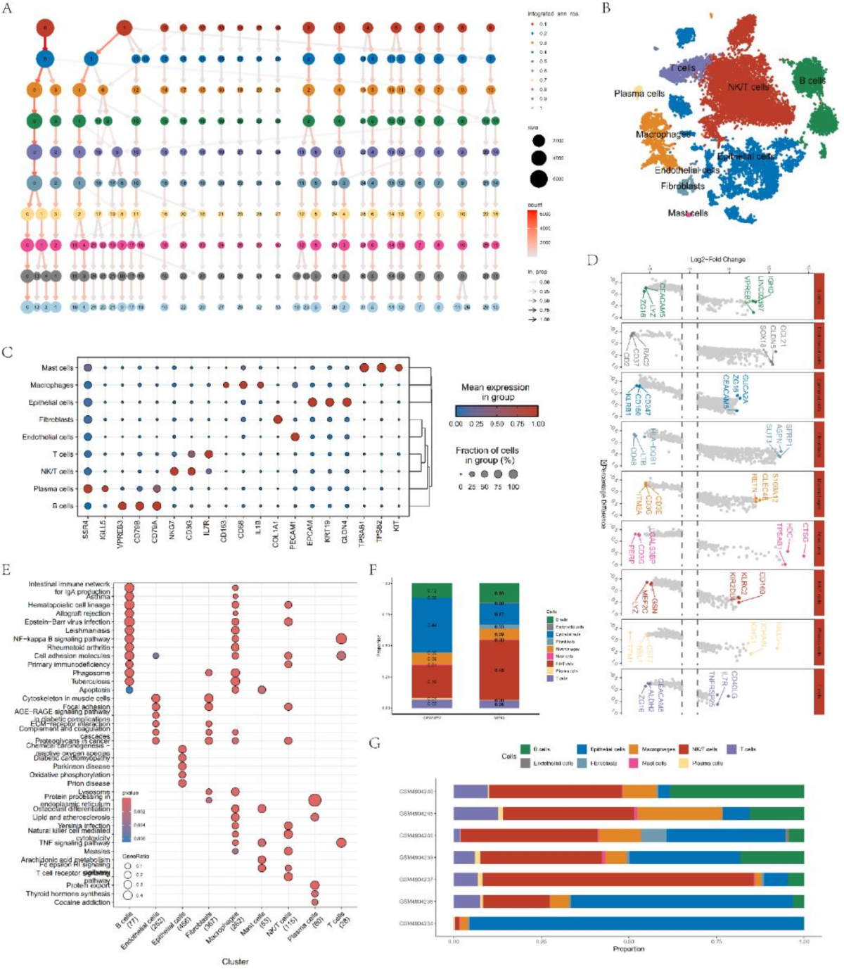 To investigate the tumor promotion role of PLOD3 in colorectal cancer and  its potential as a prognostic biomarker and therapeutic target | Scientific  Reports