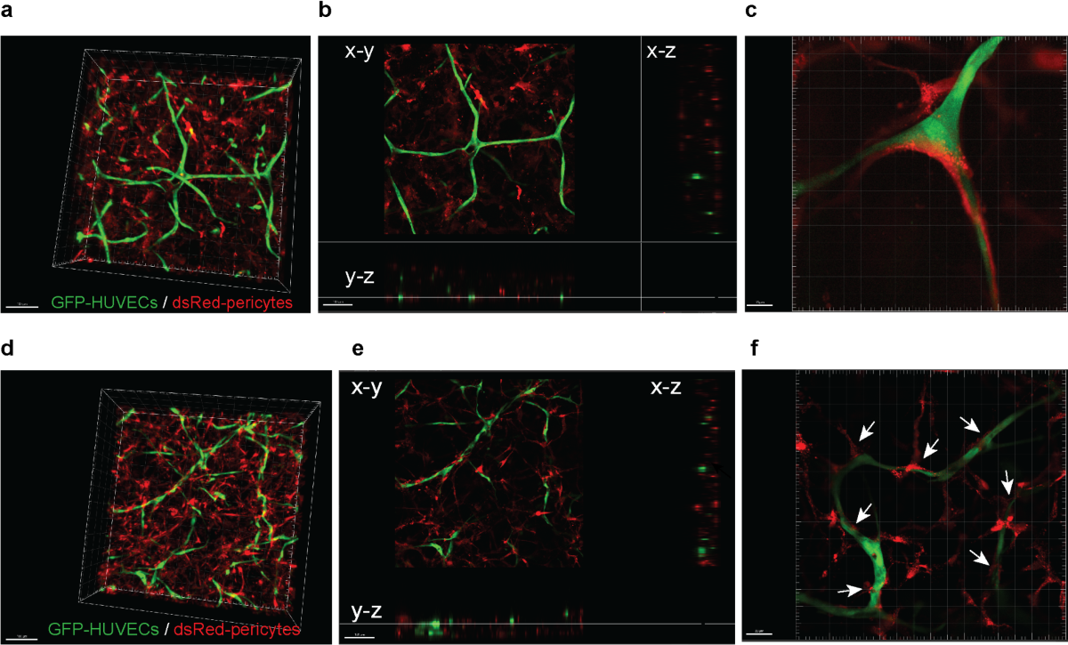 Knitting - Wikipedia, image size:1200x725