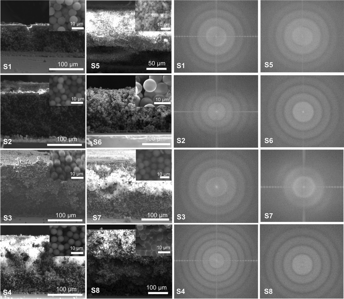 glutathione coated polystyrene particles Graphene quantum dot-coated microsphere multilayer colloidal crystals with distributed Bragg reflector absorption brain health alt Weight Loss | #① Size:singles