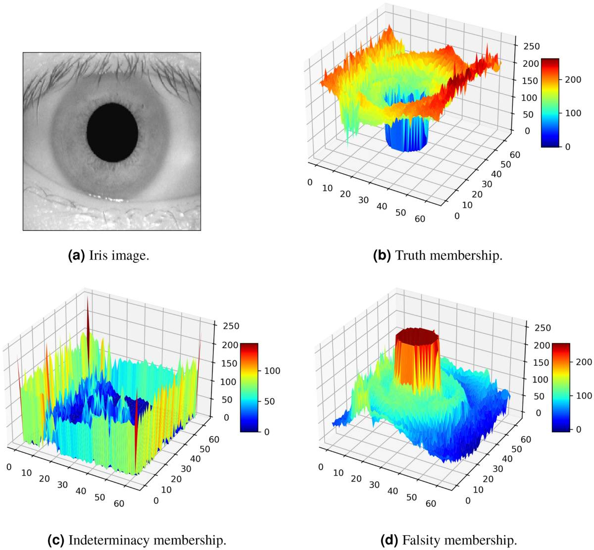 A study on neutrosophic $$mathscr {T}_{textrm{1k}}$$ -semantic  segmentation for iris image recognition with Gaussian and Poisson noises |  Scientific Reports