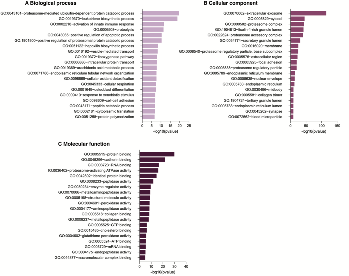 rl0.ru maxmeda Menstrual blood serum extracellular vesicles reveal novel molecular  biomarkers and potential endotypes of unexplained infertility | Scientific  Reports