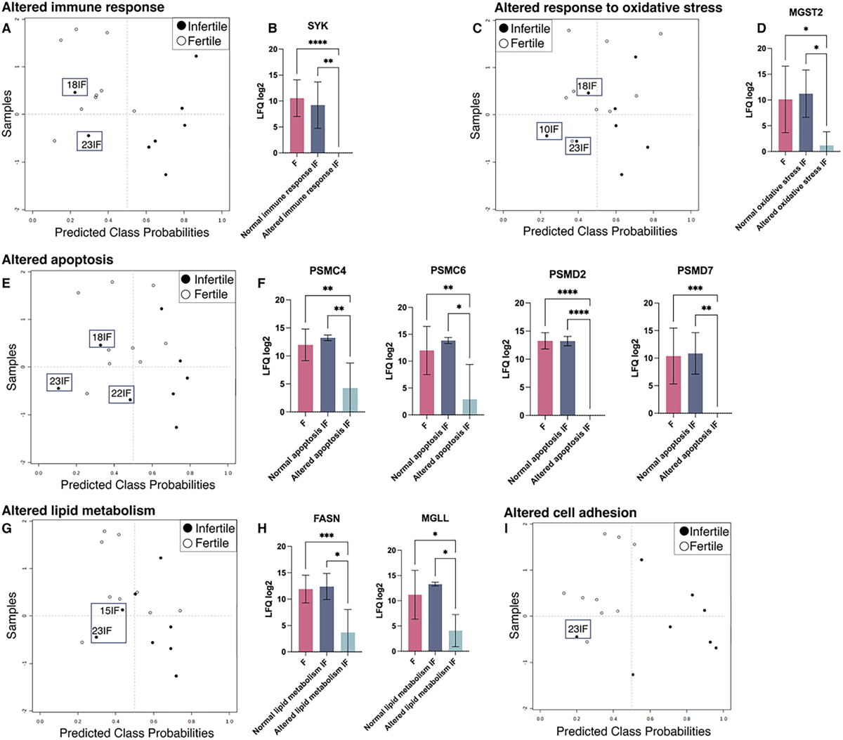 rl0.ru maxmeda Menstrual blood serum extracellular vesicles reveal novel molecular  biomarkers and potential endotypes of unexplained infertility | Scientific  Reports
