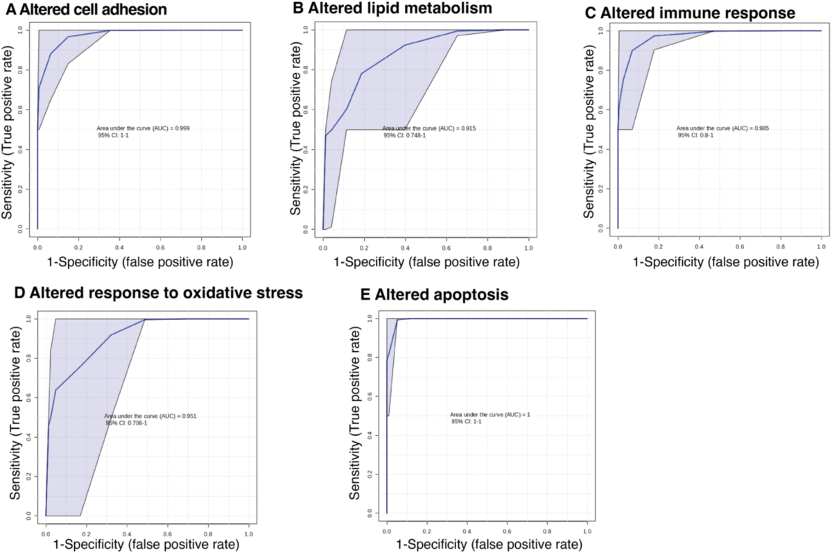 rl0.ru maxmeda Menstrual blood serum extracellular vesicles reveal novel molecular  biomarkers and potential endotypes of unexplained infertility | Scientific  Reports