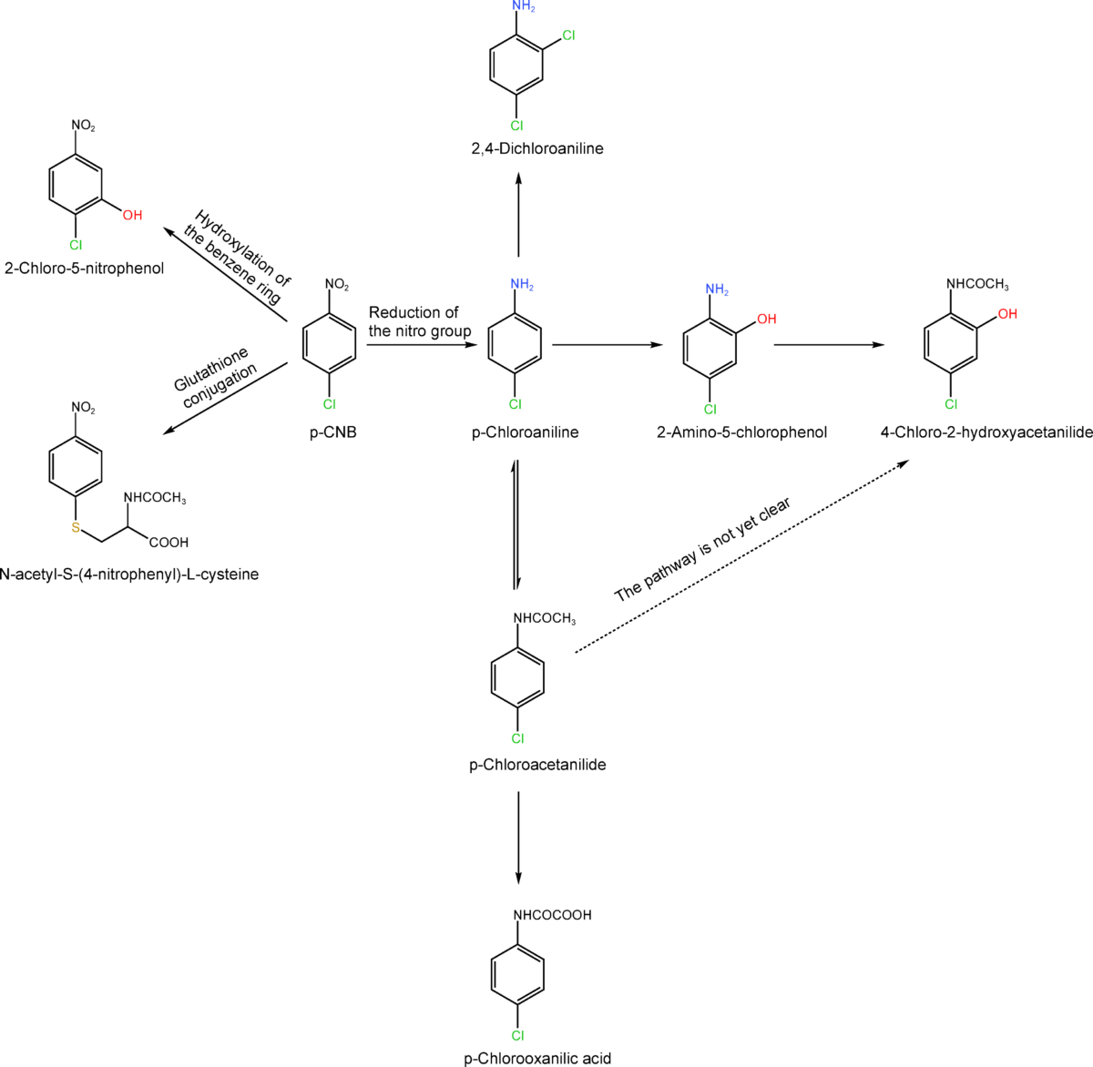 aimi white glutathione Evaluation of urinary metabolites as biomarkers for occupational p-chloronitrobenzene exposure: a pilot study 8 Benefits of NAD+ Size:MSM Refill (120 capsules) amber-shaw