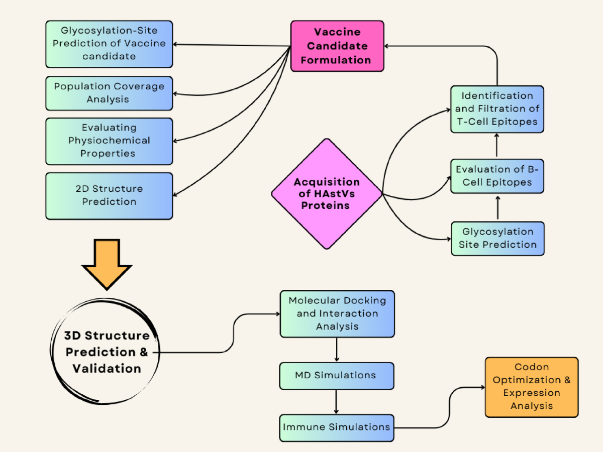 Computational design of a glycosylated multi-epitope vaccine against HAsV-1  and HAsV-2 astrovirus for acute gastroenteritis | Scientific Reports