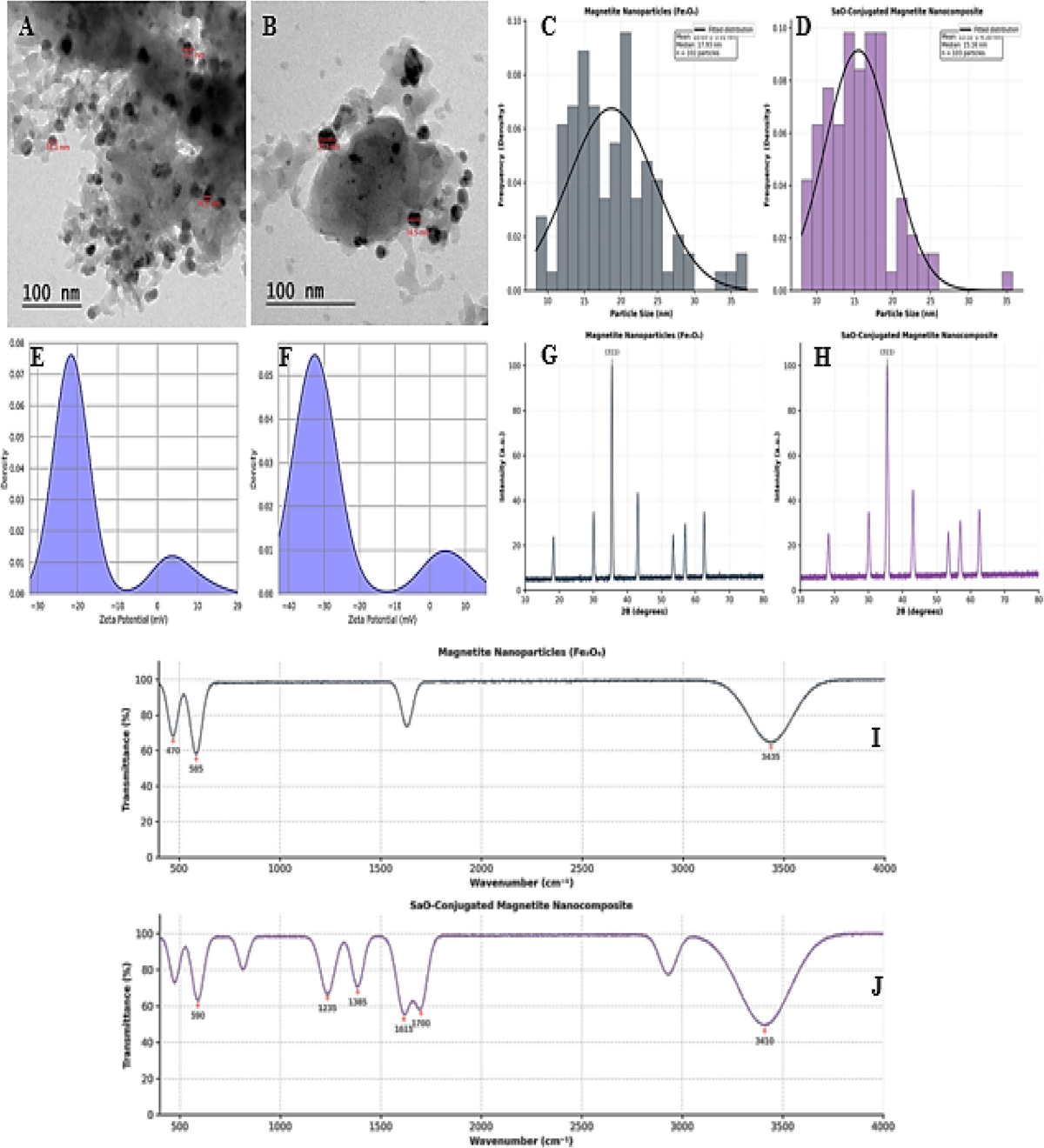 Salvia officinalis extractconjugated magnetite and selenium nanocomposites showed enhanced antibacterial and anti-biofilm activity against multidrug-resistant pathogens | Scientific Reports Salvia officinalis extractconjugated magnetite and selenium nanocomposites showed enhanced antibacterial and anti-biofilm activity against multidrug-resistant pathogens | Scientific Reports