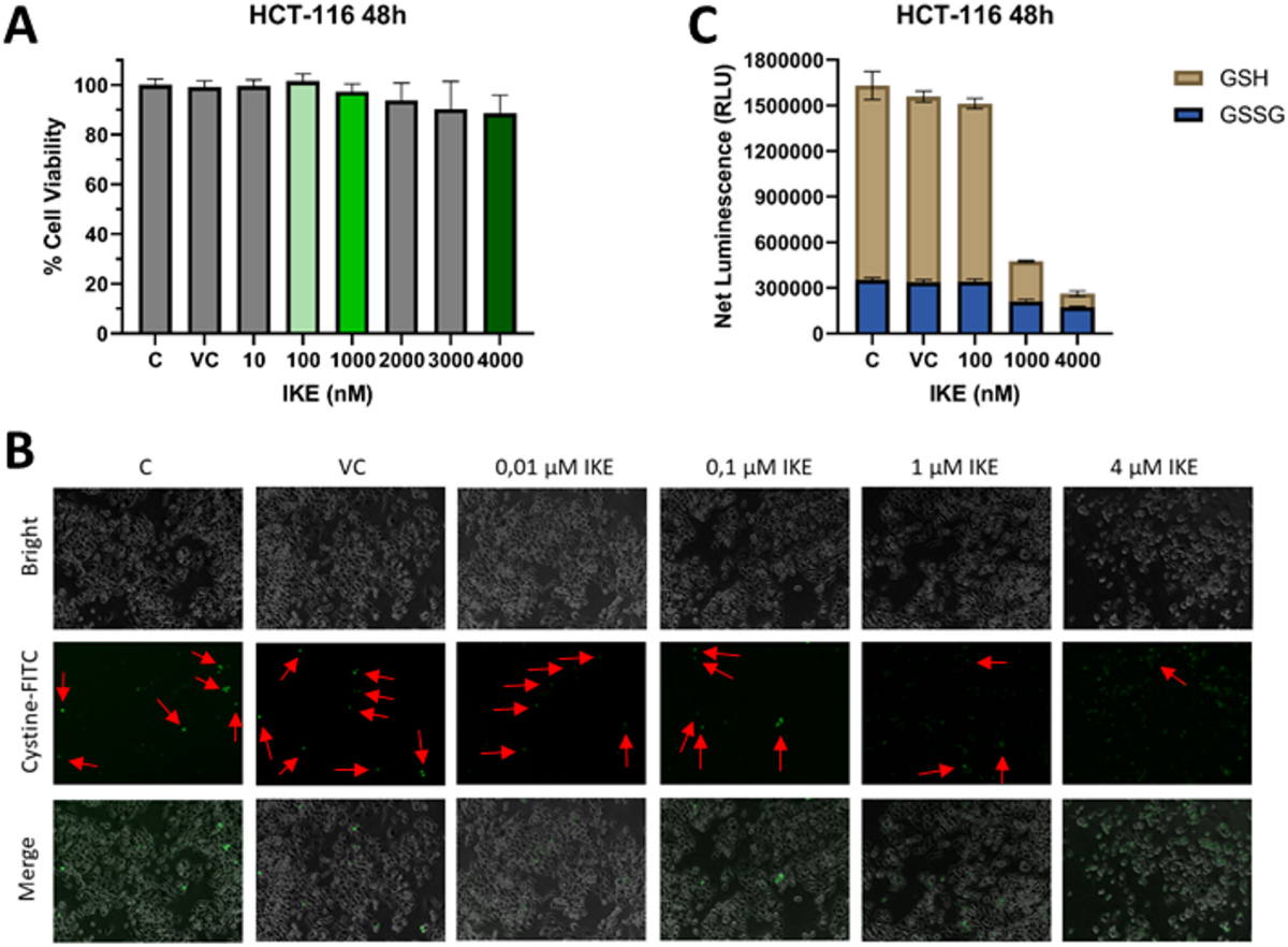 Enhancing 5-fluorouracil efficacy in colorectal cancer by inhibiting  glutathione antioxidant mechanisms with an xCT inhibitor | Scientific  Reports