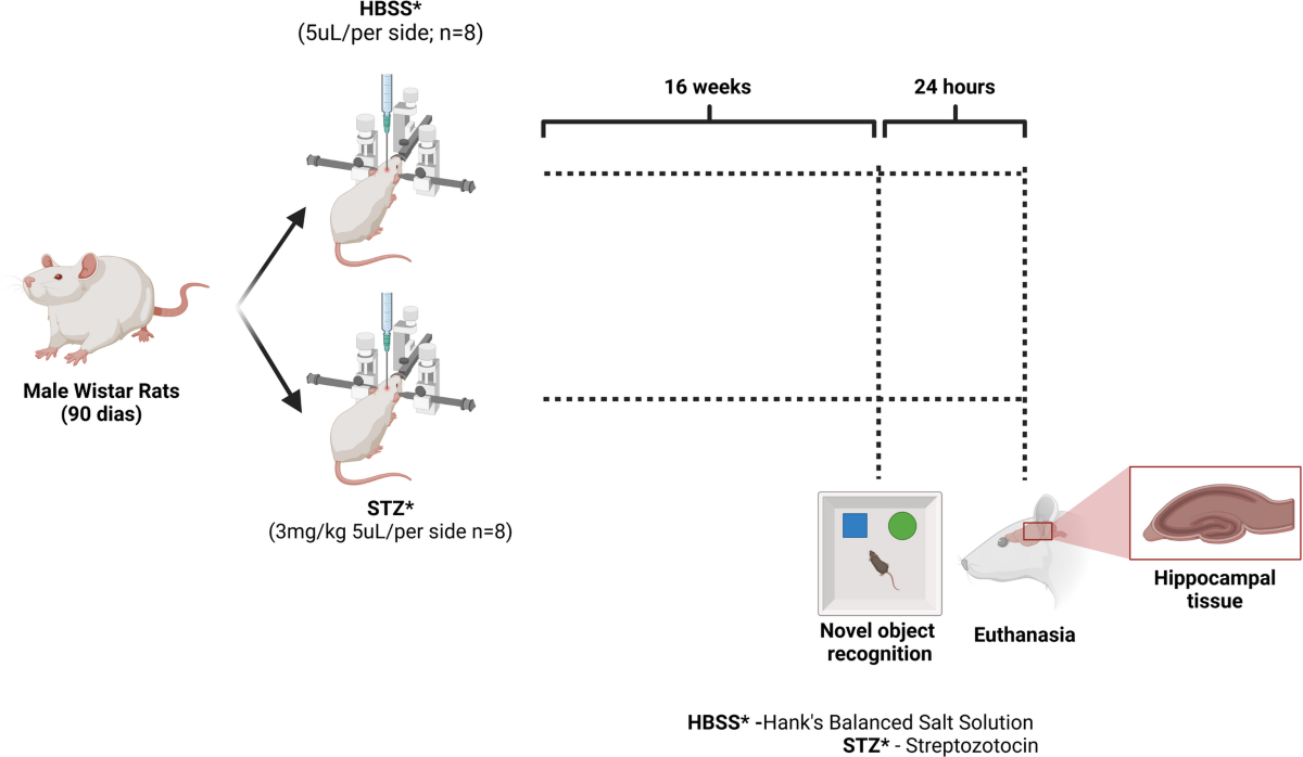 Increased type 3 deiodinase reduces hippocampal T3 signaling and is associated with cognitive impairment in a sporadic Alzheimer's disease animal model