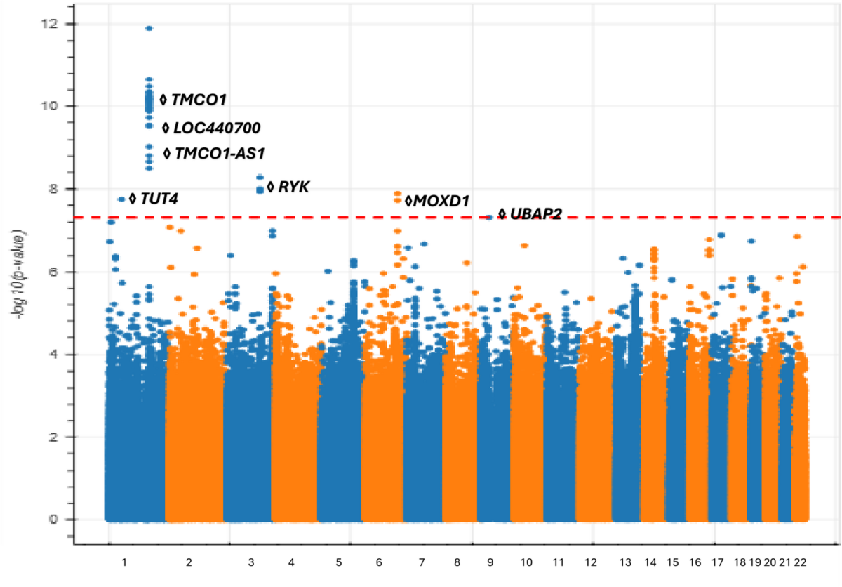 ishigaki glutathione price in watson Multi-ancestry genome-wide association study in all of Us for primary  open-angle glaucoma