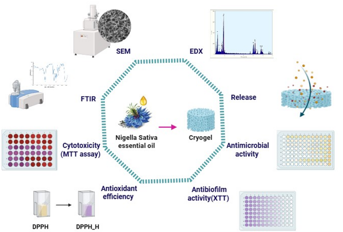 glutathione free radical scavenger in czech republic Several lines of antioxidant defense against oxidative stress: antioxidant enzymes, nanomaterials with multiple enzyme-mimicking activities, and low-molecular-weight antioxidants | Archives of Toxicology Role of Plant-Derived Antioxidants in