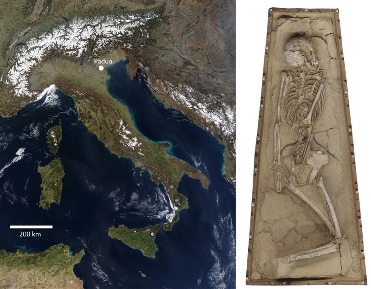 Dietary perspectives on social asymmetry in a full Iron Age community of  northern Italy: stable isotope evidence from the Patavine CUS-Piovego  necropolis | Scientific Reports