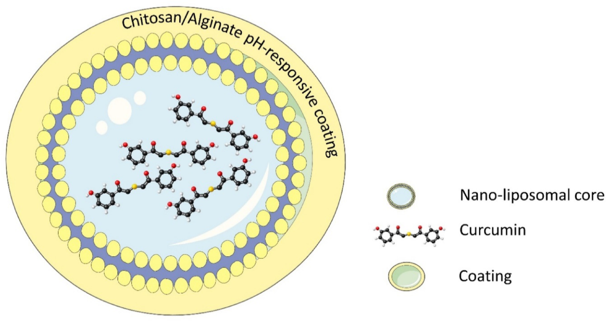 Enhanced bioavailability of a novel double-layered nano-liposomal curcumin (BNT–C060): a randomized, double-blind, clinical trial
