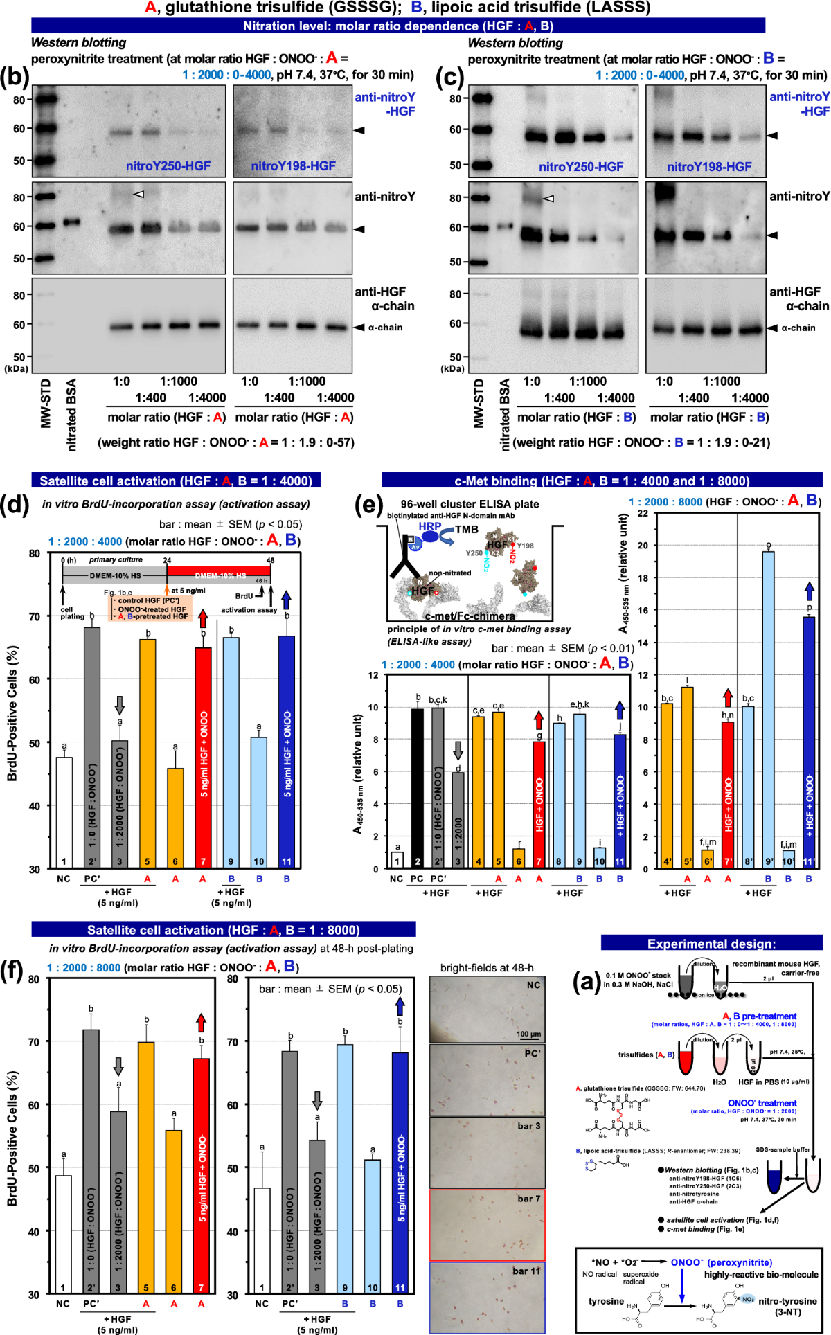 parkinsons glutathione metabolism and parkinson's disease FerroptosisA Shared Mechanism for Type 2 Diabetes Frontiers Brain health starts with awareness