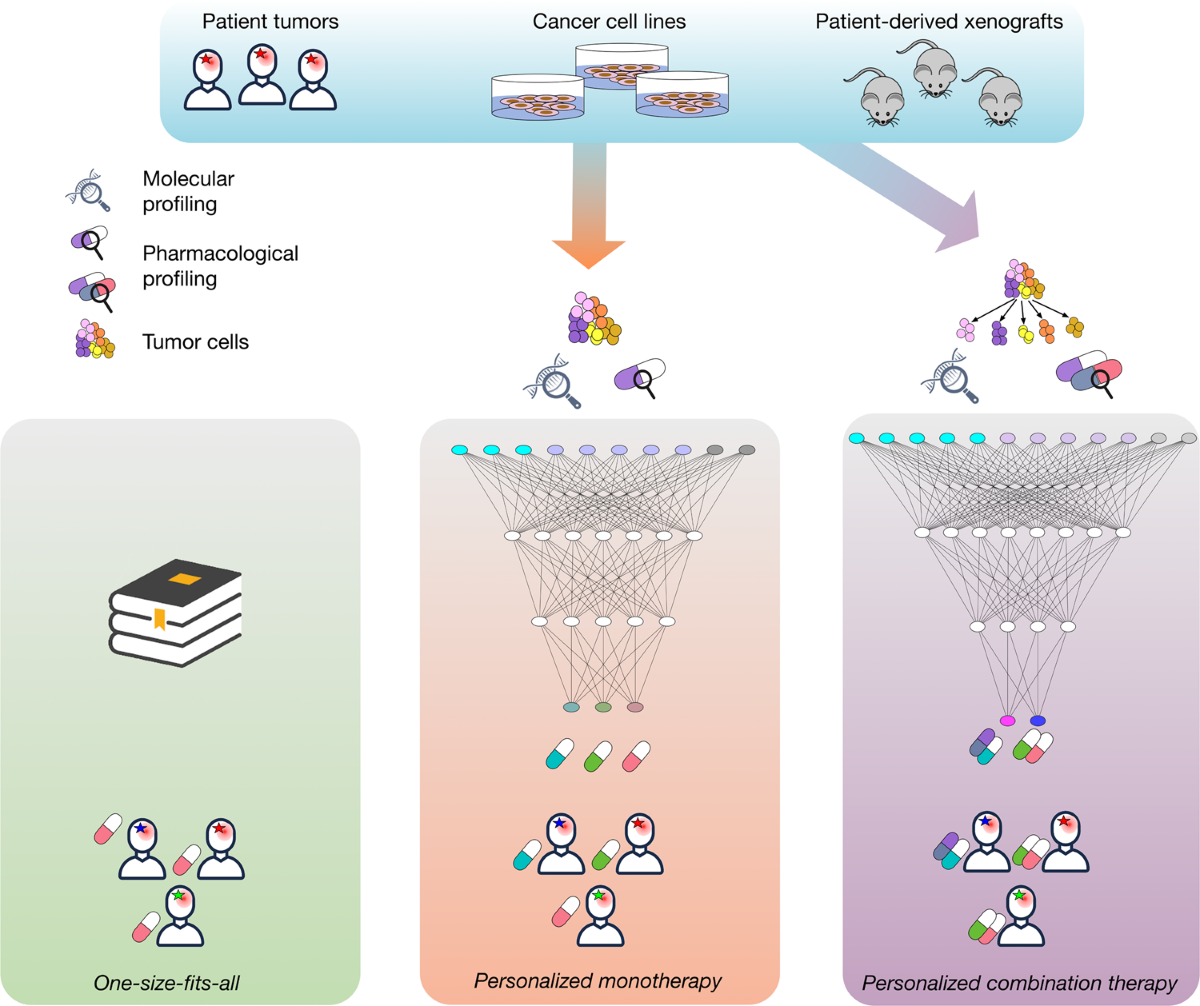 Machine learning approaches to drug response prediction 