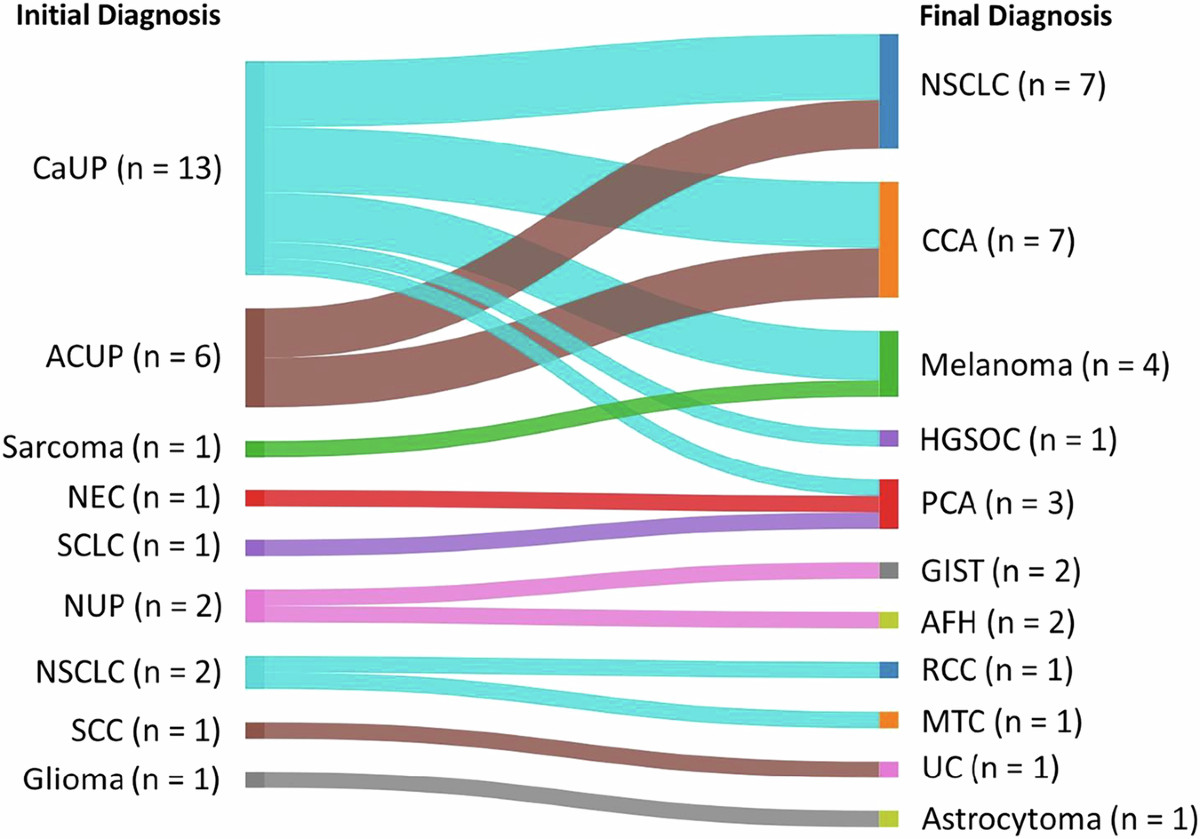 Tumor diagnosis recharacterization enabled by comprehensive genomic  profiling to guide precision medicine strategy | npj Precision Oncology