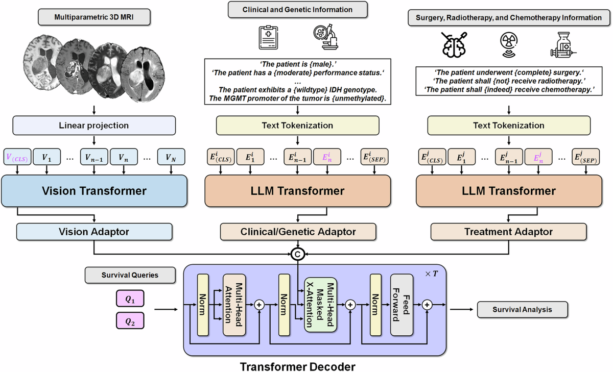 GlioSurv: interpretable transformer for multimodal, individualized survival  prediction in diffuse glioma | npj Digital Medicine