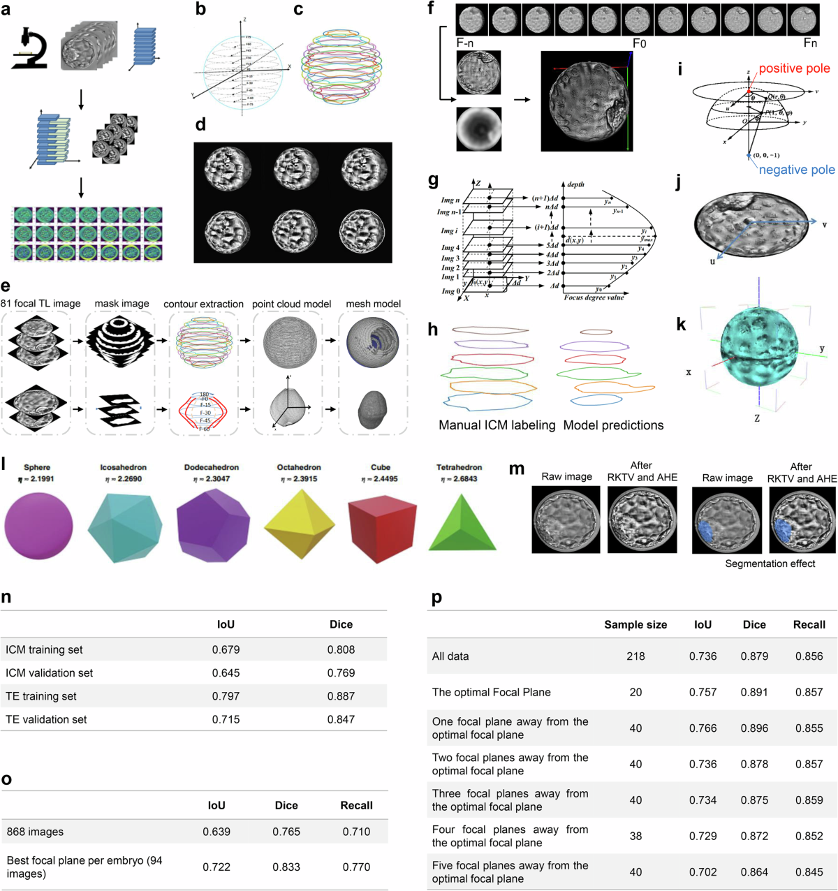 Timelapse-based 3D reconstruction of blastocysts reveals 3D morphologies of  human blastocysts | npj Digital Medicine