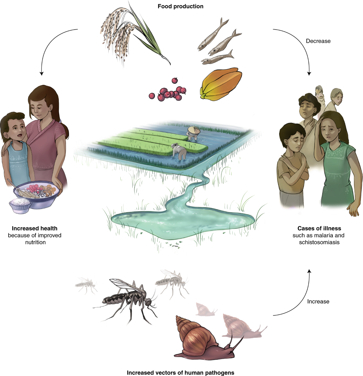 Emerging human infectious diseases and the links to global food