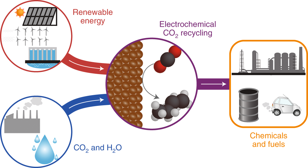 Designing materials for electrochemical carbon dioxide recycling 