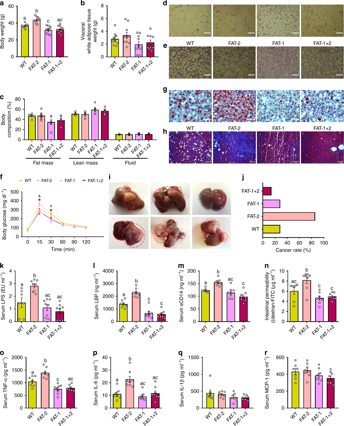 Multi-omic analysis in transgenic mice implicates omega-6/omega-3 fatty  acid imbalance as a risk factor for chronic disease | Communications Biology