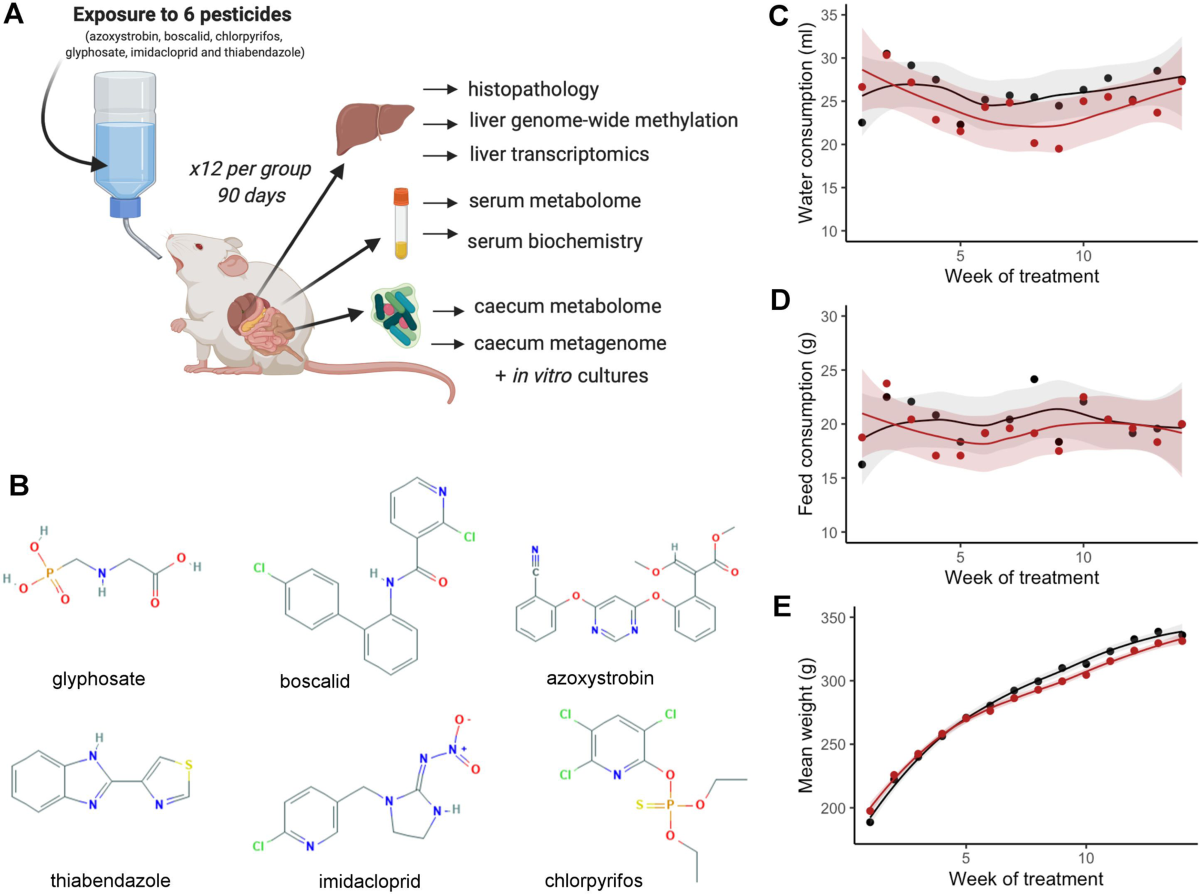 Multi-omics phenotyping of the gut-liver axis reveals metabolic  perturbations from a low-dose pesticide mixture in rats | Communications  Biology, image size:1200x894