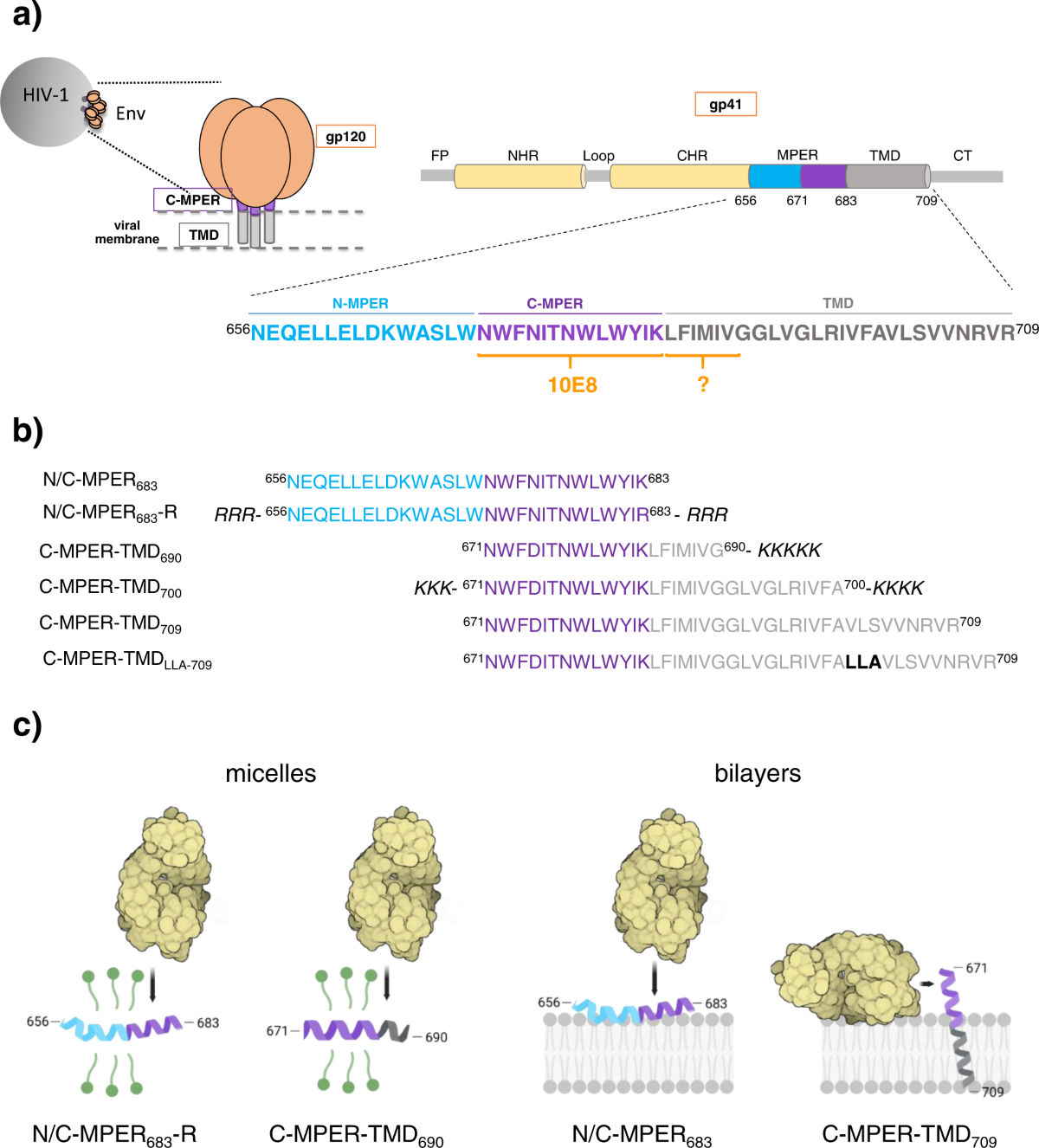 molecular-recognition-of-a-membrane-anchored-hiv-1-pan-neutralizing-epitope-communications-biology