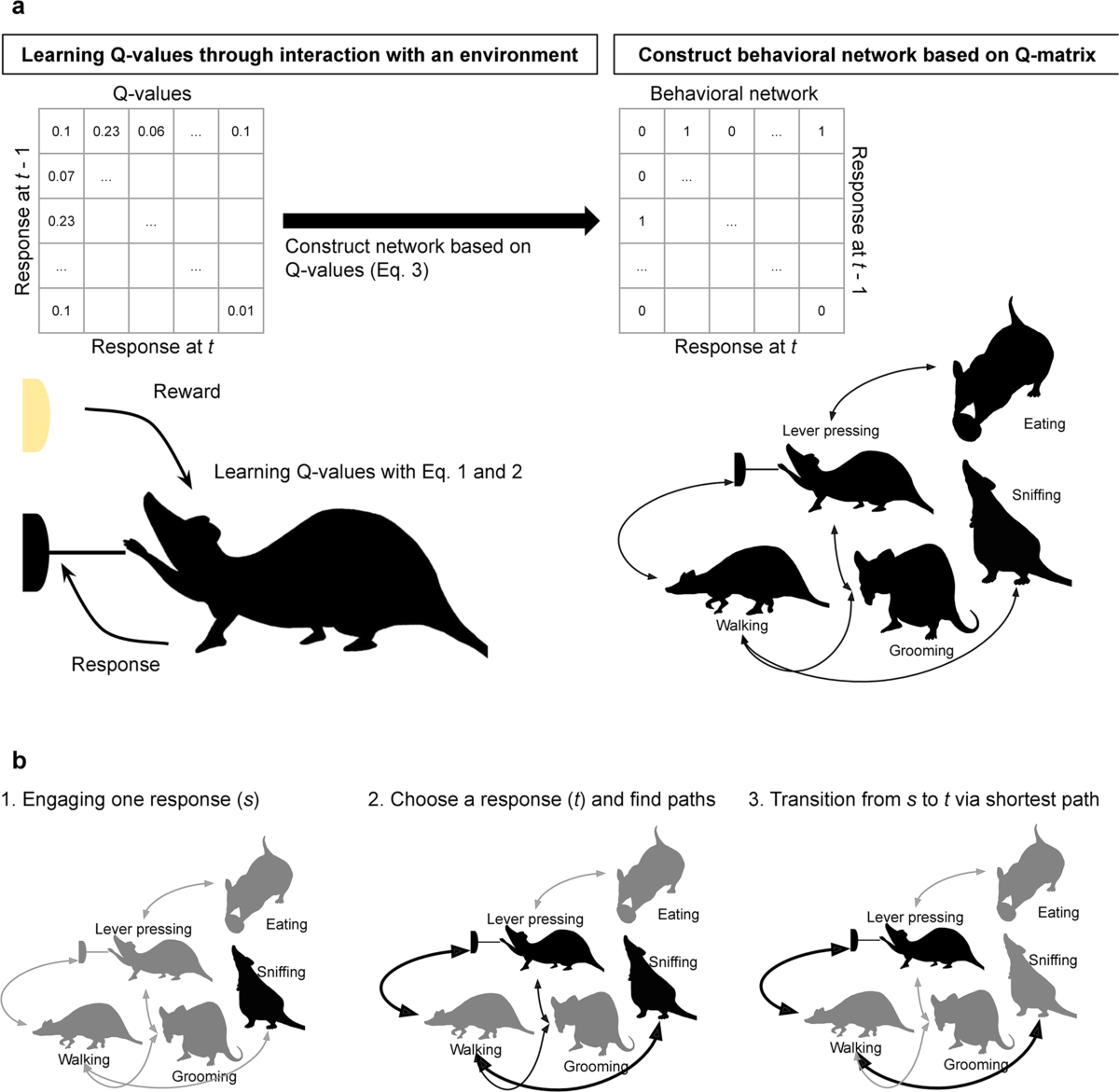 Habit formation viewed as structural change in the behavioral network |  Communications Biology