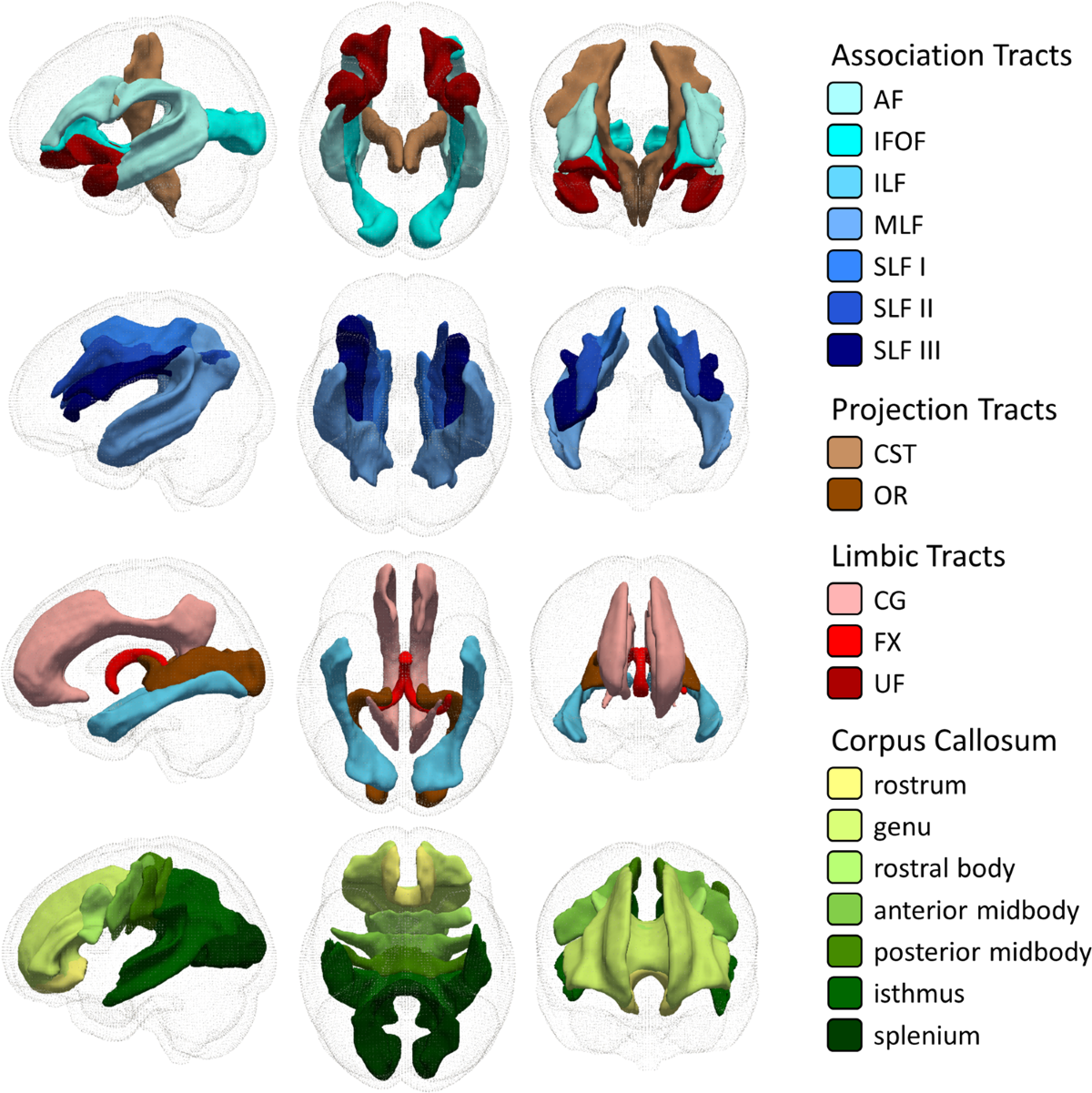 Topography of associations between cardiovascular risk factors and myelin  loss in the ageing human brain | Communications Biology