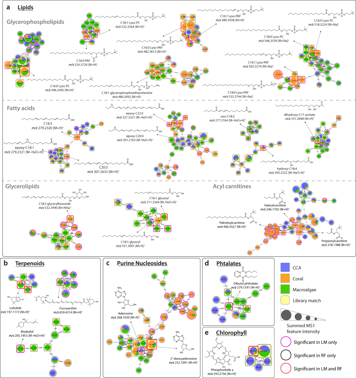 Microbiomes and metabolomes of dominant coral reef primary producers  illustrate a potential role for immunolipids in marine symbioses |  Communications Biology