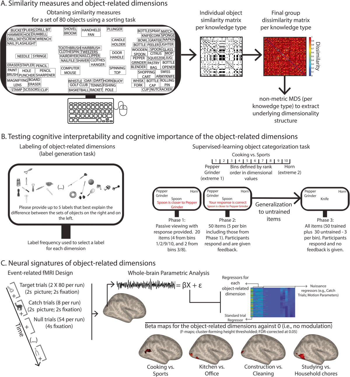 Neural and behavioral signatures of the multidimensionality of 