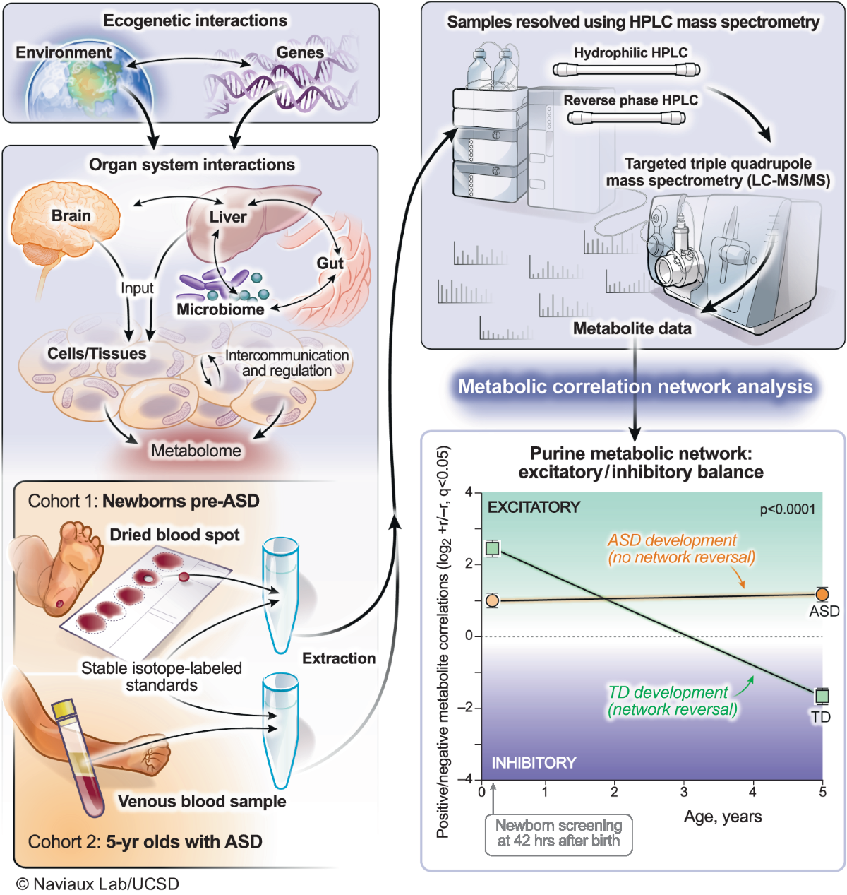 l carnosine vs l carnitine autism Metabolic network analysis of pre-ASD newborns and 5-year-old children with  autism spectrum disorder
