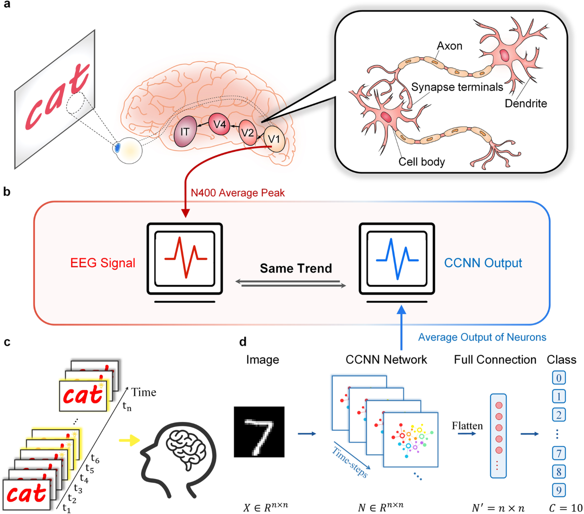 Revealing the mechanisms of semantic satiation with deep learning models |  Communications Biology