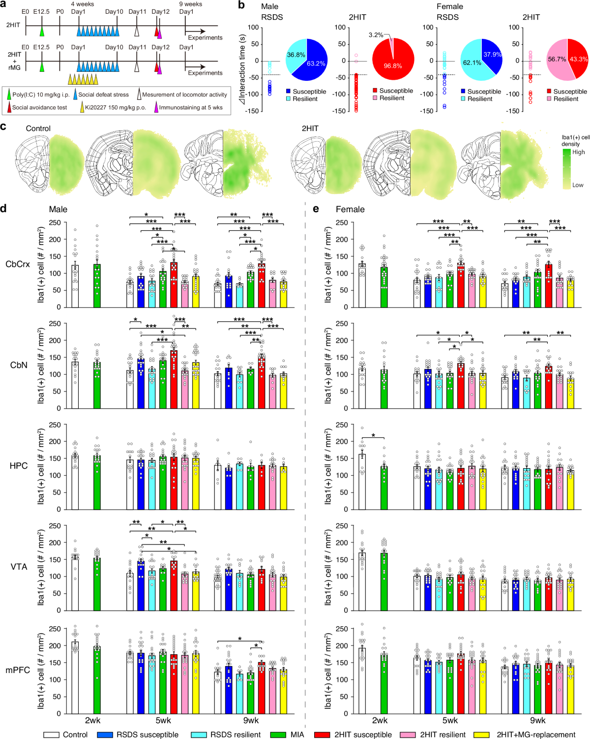 Maternal immune activation followed by peripubertal stress combinedly  produce reactive microglia and confine cerebellar cognition |  Communications Biology