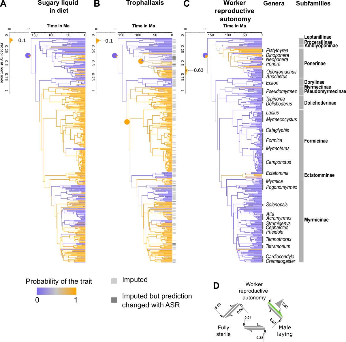 Ecological change and conflict reduction led to a social circulatory system  in ants | Communications Biology