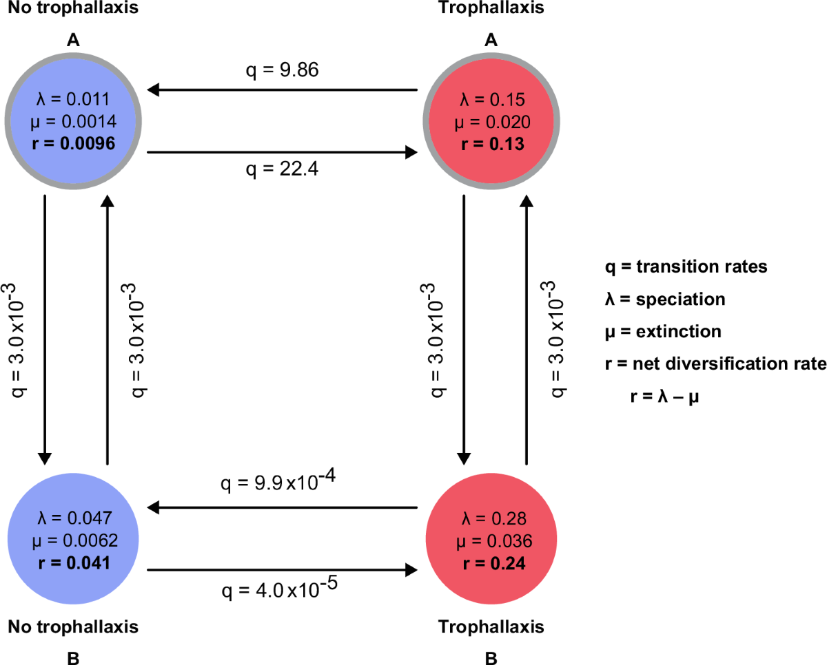 Ecological change and conflict reduction led to a social circulatory system  in ants | Communications Biology