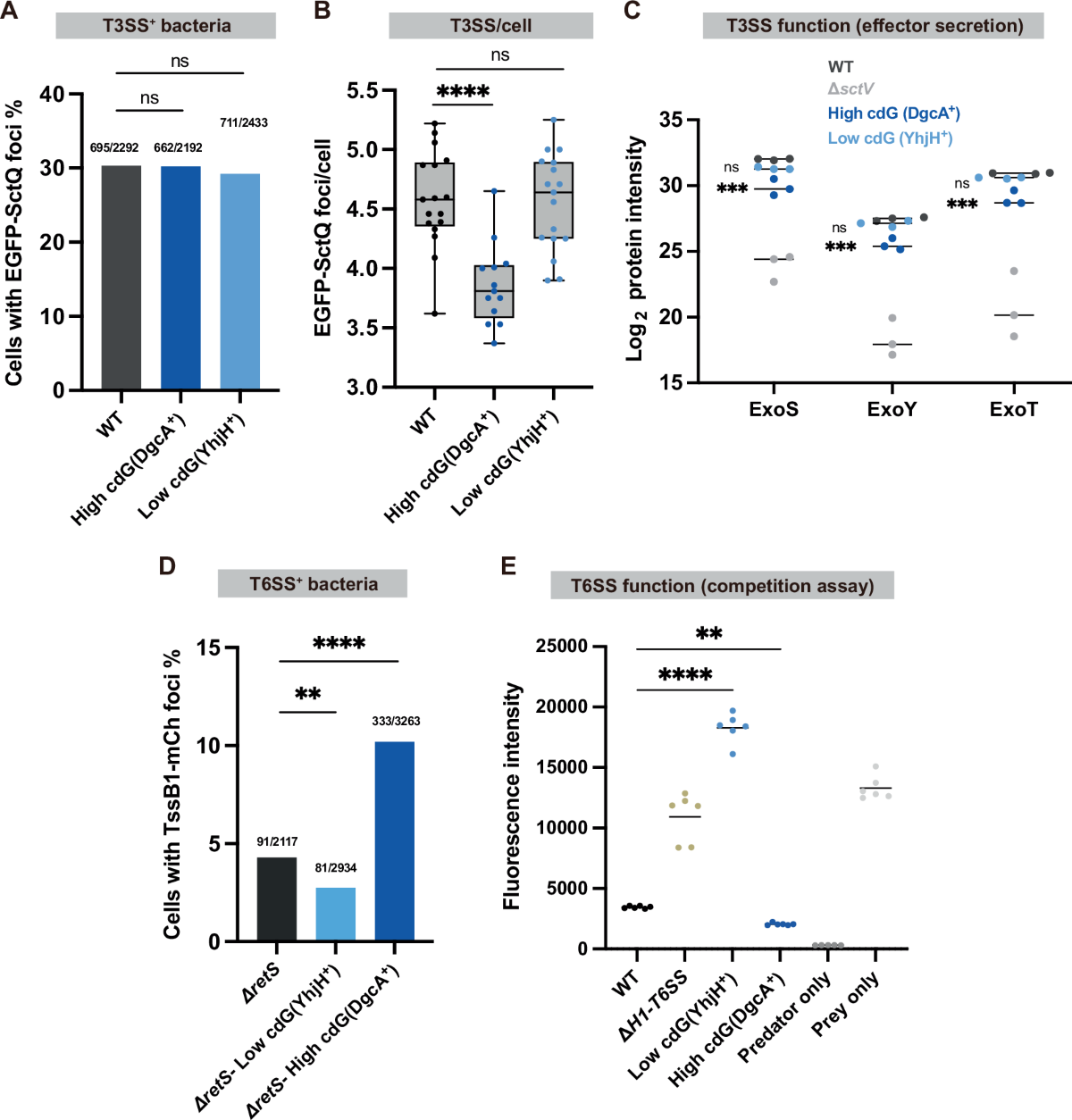 Coordination of virulence factors and lifestyle transition in Pseudomonas  aeruginosa through single-cell analysis | Communications Biology