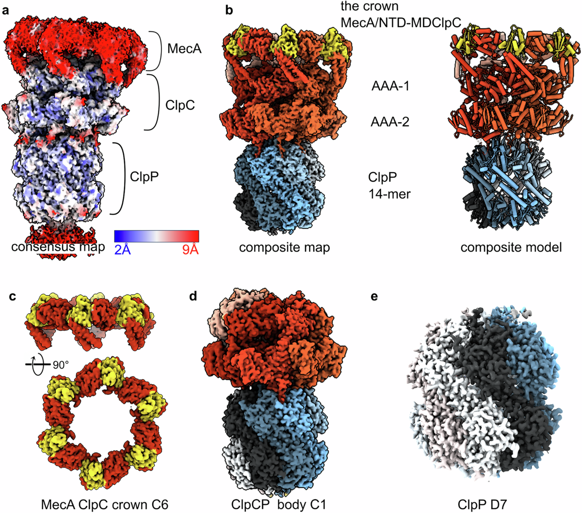 フィルタ、マゼンタ、Threaded、PK 20 New at Sailing Chandlery - Quality Sailing Items - Sailing Chandlery