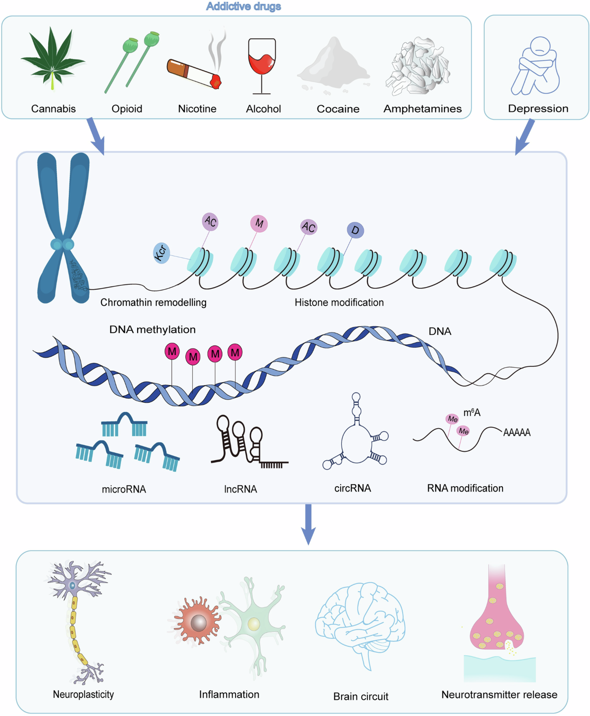 Addictive drug abuse and depression-a focus on epigenetics