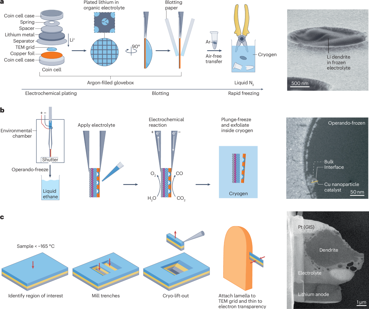 Cryogenic electron microscopy and tomography for beam-sensitive materials |  Nature Reviews Physics